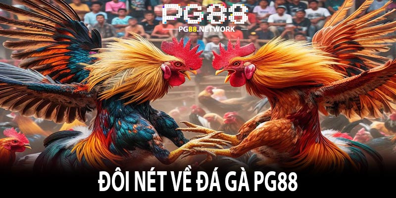 Đôi nét về đá gà Pg88