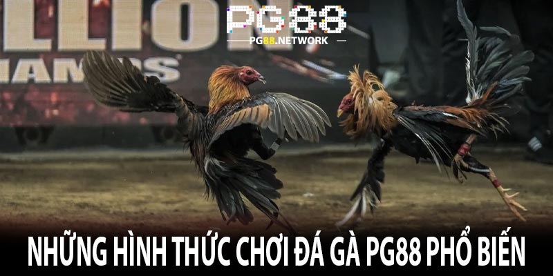 Những hình thức chơi Đá Gà Pg88 phổ biến