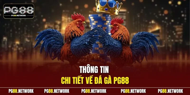 Thông tin chi tiết về đá gà PG88